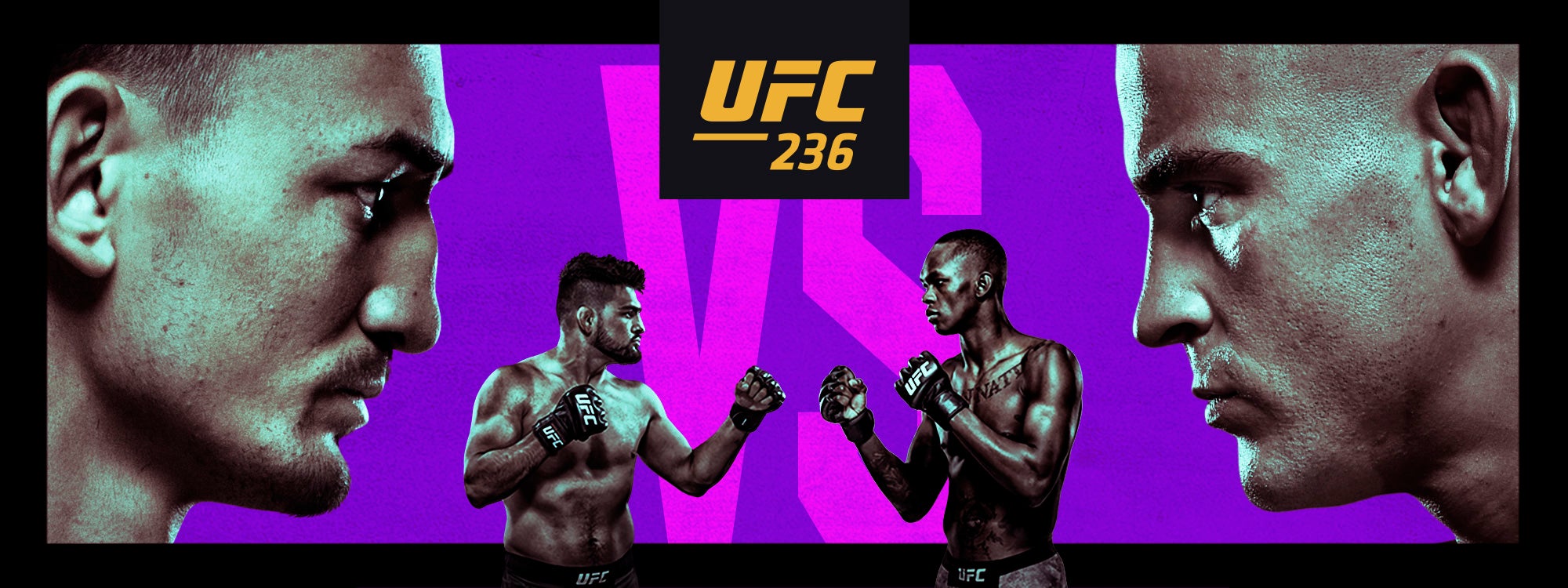 UFC 236
